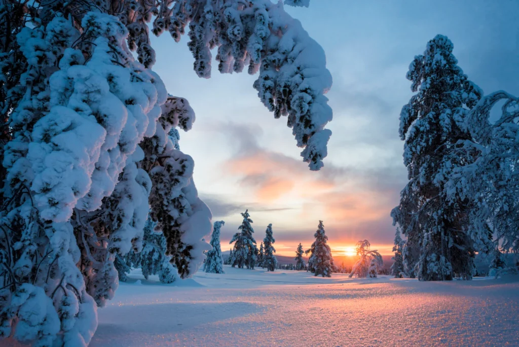 A tranquil winter landscape showcases snow-covered trees at sunset. The sky is painted with hues of orange and pink, casting a warm glow on the snow-laden ground. The scene conveys peace and the serene beauty of a winter evening.
