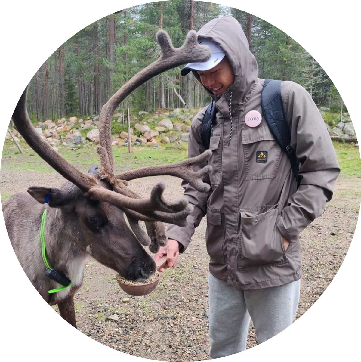 A person wearing a hooded jacket and cap feeds a reindeer in a forested area. The person is smiling and carrying a backpack. The reindeer extends its head to eat from a bowl held by the person. Rocks and trees are visible in the background.